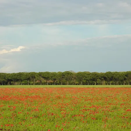 Appartement Rossella